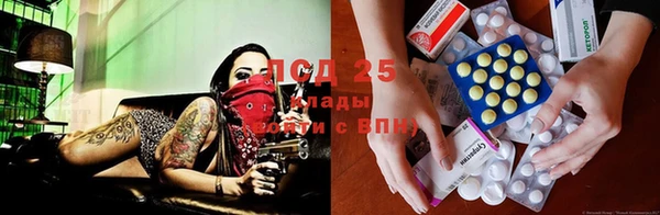 a pvp Алзамай