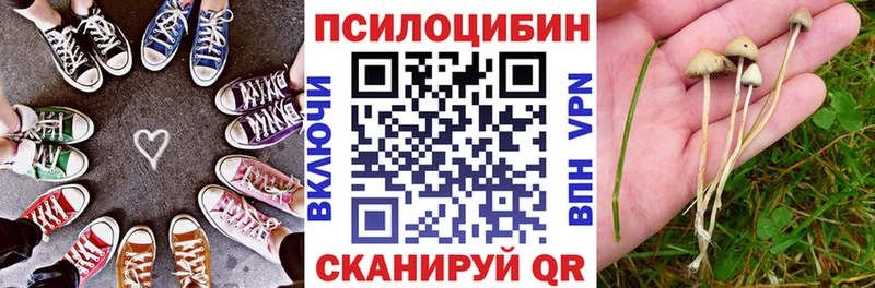 mega онион  Боготол  Галлюциногенные грибы Psilocybine cubensis 